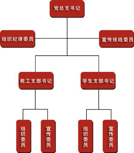 学校党组织结构设置