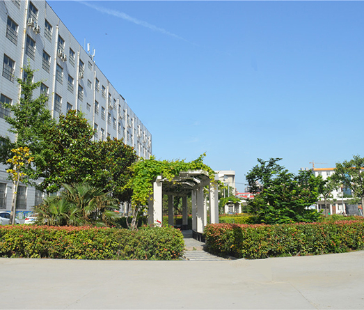 通许县丽星初级中学